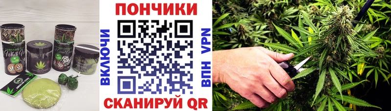 Canna-Cookies марихуана  Урай 