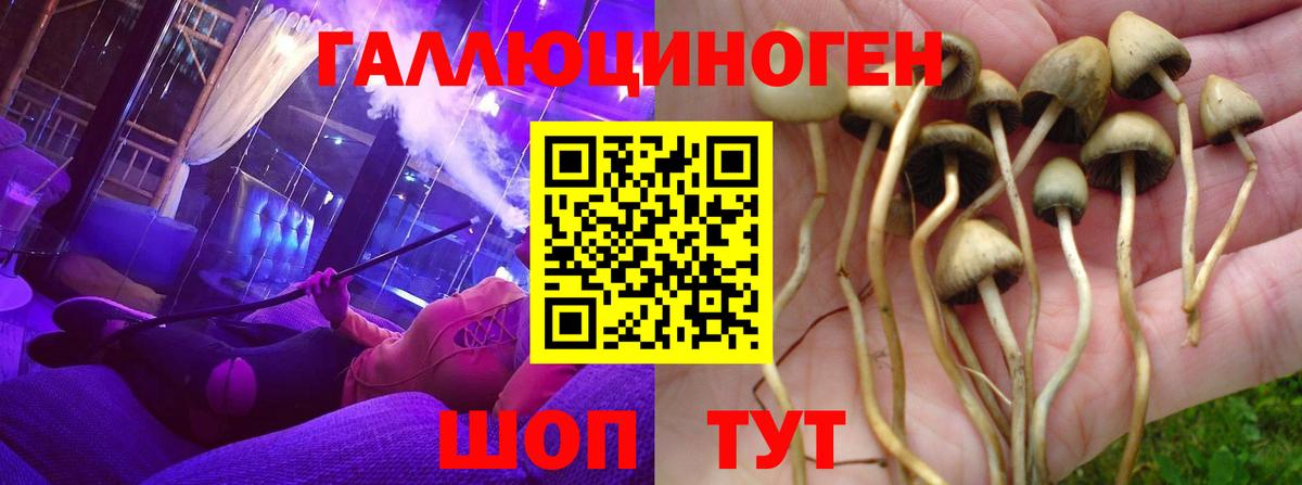 Галлюциногенные грибы прущие грибы  Вход с VPN  Урай  Галлюциногенные грибы Psilocybe 
